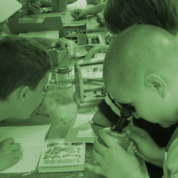 Élet a vizes élőhelyeken