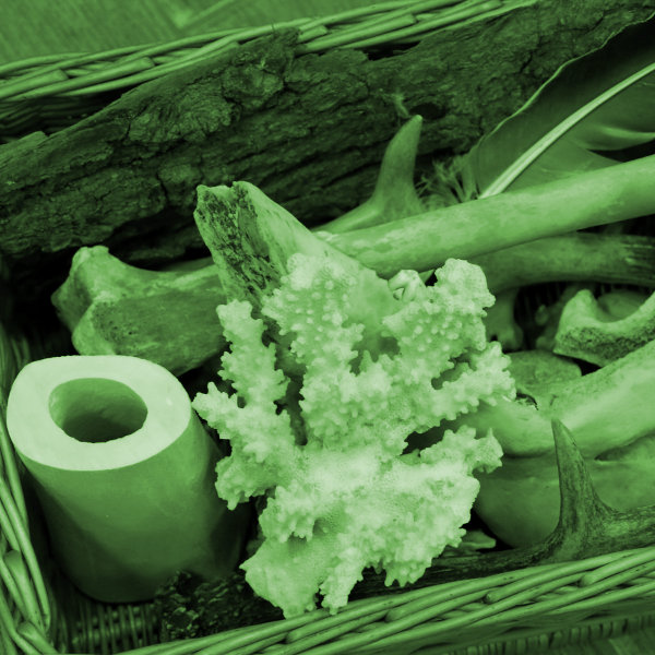 Fogd meg, nézd meg, vizsgáld meg!