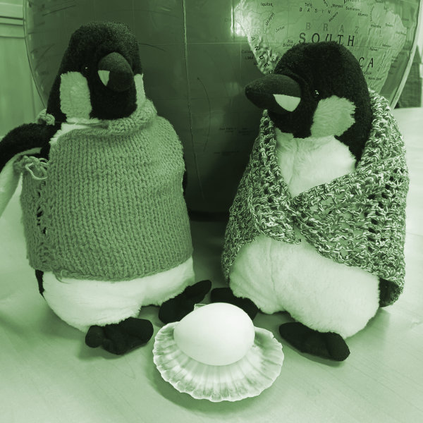 Pingvinek pulóverben?!