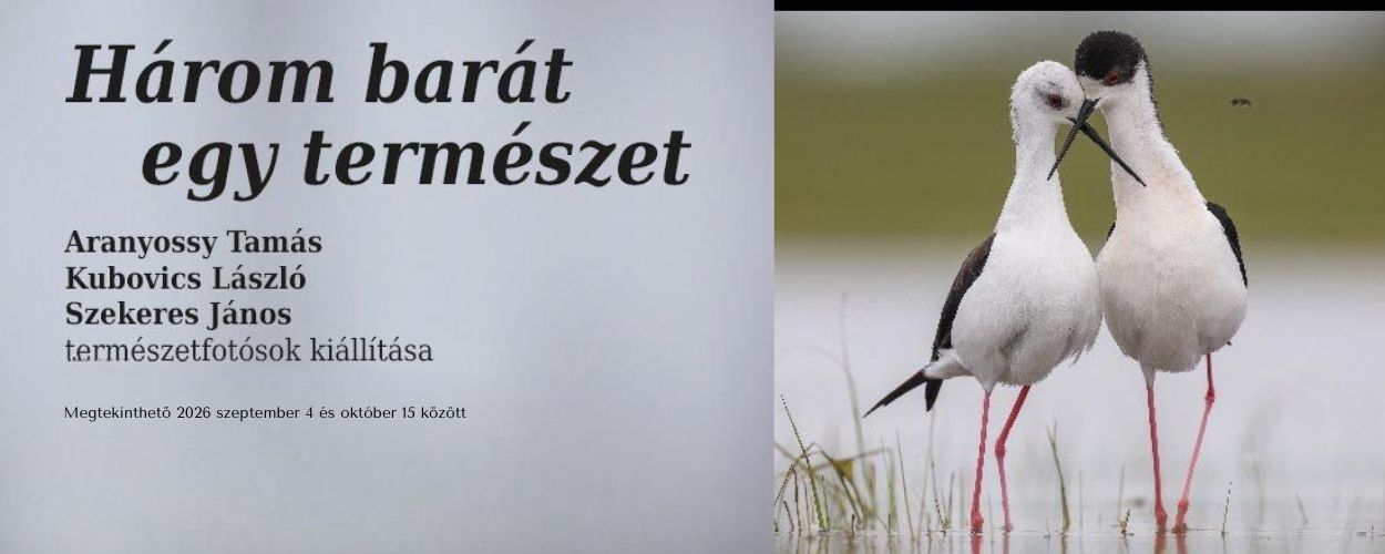 Három barát egy természet kiállítás banner